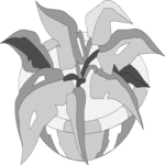 Plant 047