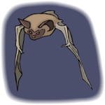 Bat 17