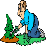 Weeding 1