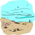 Sea Floor