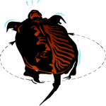 Turtle 3
