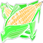 Corn 30