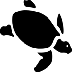 Turtle 3