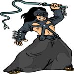 Warrior 2