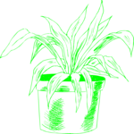 Plant 247