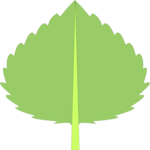 Leaf 002