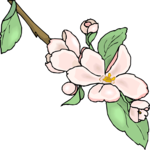 Flower 332