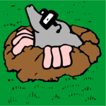 Groundhog