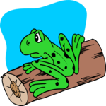 Frog 19