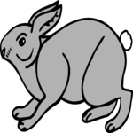Rabbit 11