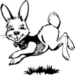 Bunny 09