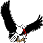 Bird 027