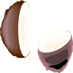 Coconut 4