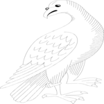 Bird 032
