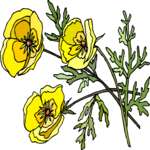 Flower 314