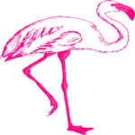 Flamingo 23