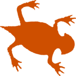 Lizard 5