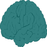 Brain 1