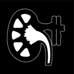 Nephrology
