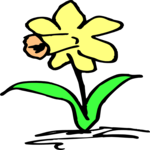 Flower 145