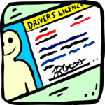 Driver's License