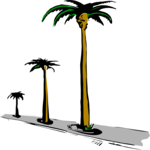 Palm Trees 14