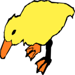 Duck 05