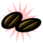 Coffee Beans 1