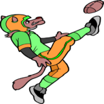 Football - Wolf 1