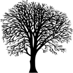 Tree 019