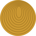 Tree Growth Rings 1