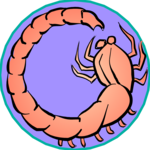 Scorpio 01