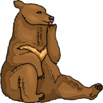 Bear 24