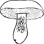 Mushroom 03