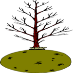 Tree 224