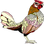 Chicken 13