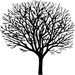 Tree 023