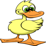 Duck 09