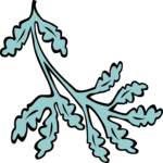 Leaves 63