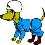 MP Dog