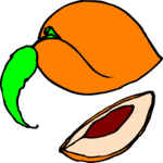 Peach 15