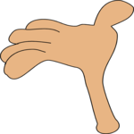 Hand 31
