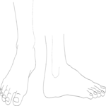 Feet 1