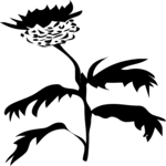 Flower 087