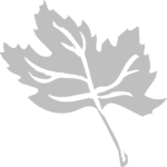 Leaf 099