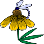 Flower 296