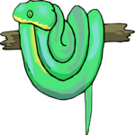 Snake 26