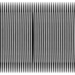 Border 442