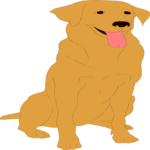Golden Retriever 1