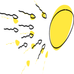 Sperm & Egg 1